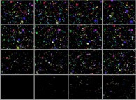 Quantum vacuum fluctuation dynamics 