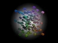 Tridimensional representation of quadridimensional Calabi-Yau manifolds -Calabi-Yau manifolds attached to every point of our 'familiar' (randomly distorded)quadridimensional space-time?- 